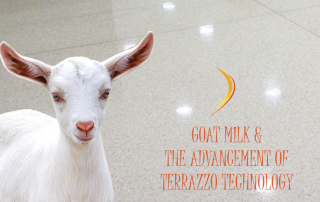Goat Milk and the Advancements of Terrazzo Technology