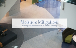 Moisture Mitigation: Dealing with Moisture Related Issues