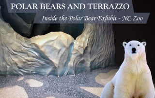 Polar Bears and Terrazzo Inside the Polar Bear Exhibit at the North Carolina Zoo